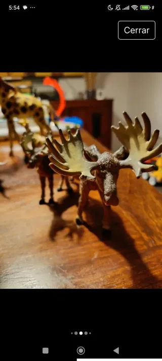 Animales de la Selva Juguete