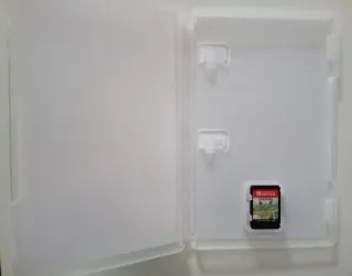 Monster Hunter Stories 2: Ali della Rovina