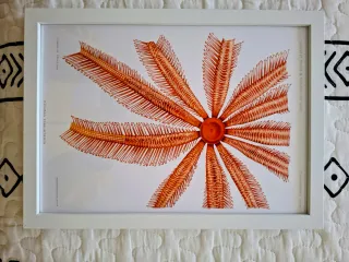 Set de 5 Láminas Decorativas Moryarty