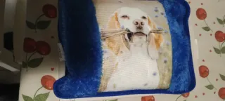 Borsa acqua calda elettrica Kmt Style