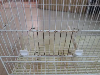 Jaula cría canarios beige/blanca, medidas 80x40x40