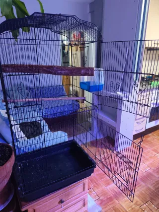 Jaula para pájaros negra