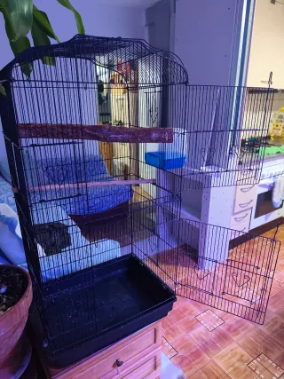 Jaula para pájaros negra