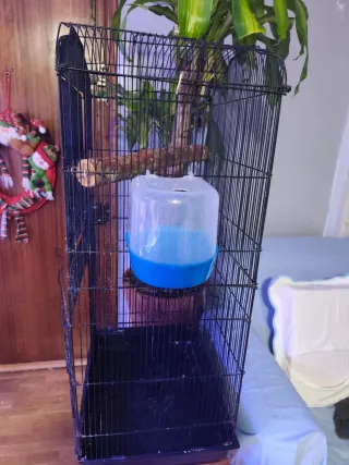 Jaula para pájaros negra