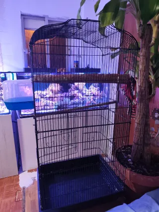 Jaula para pájaros negra