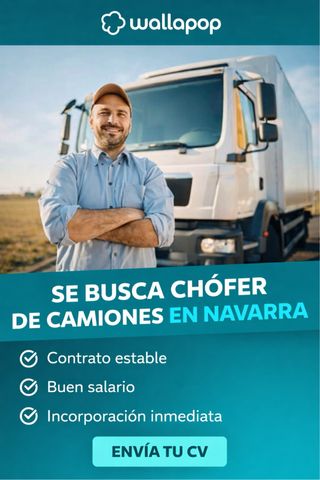 SE BUSCA CHÓFER PROFESIONAL – CARNET C + CAP