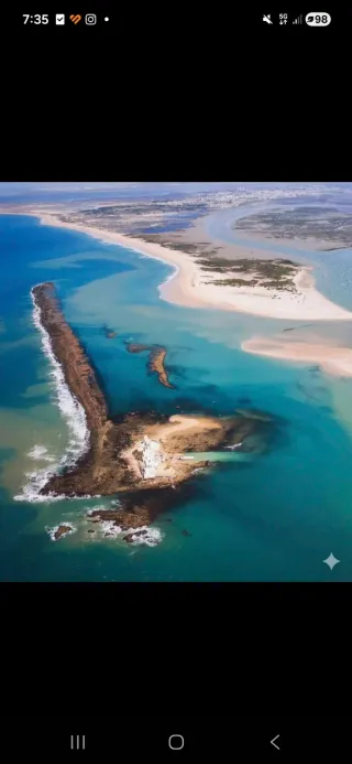 Parcela pinar de los franceses