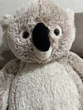 Koala gigante gris peluche
