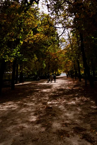 Sesiones fotográficas