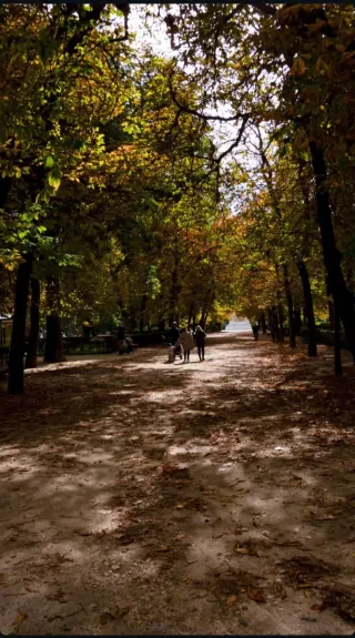 Sesiones fotográficas