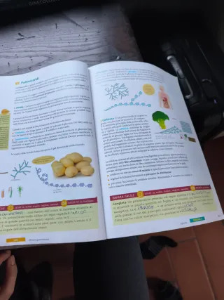 Scienza degli alimenti