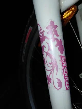 Bicicleta Specialized 24 pulgadas