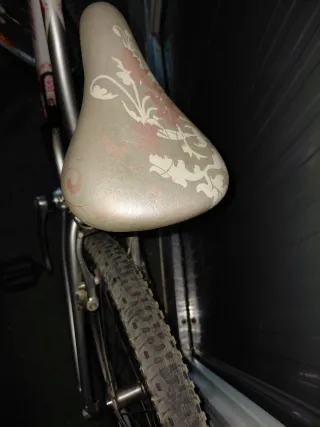 Bicicleta Specialized 24 pulgadas