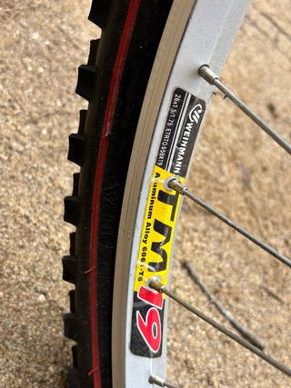 Bicicleta de Montaña Azul