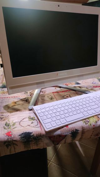 Ordenador Todo en Uno con ssd w 11