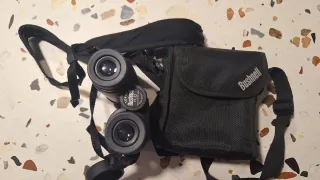 Binoculares Bushnell 10x42