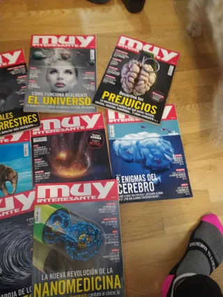 Lote de revistas muy interesante