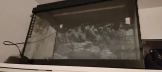 Acuario Negro y Transparente