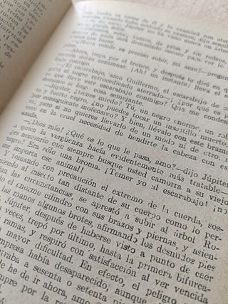 La Novela Chica El Escarabajo de Oro