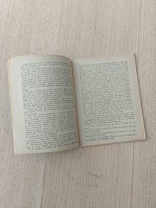 La Novela Chica El Escarabajo de Oro