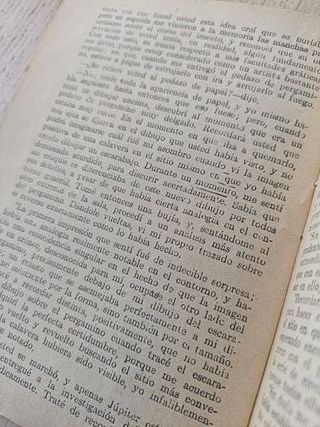 La Novela Chica El Escarabajo de Oro