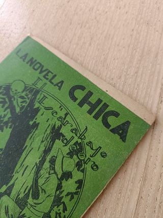 La Novela Chica El Escarabajo de Oro