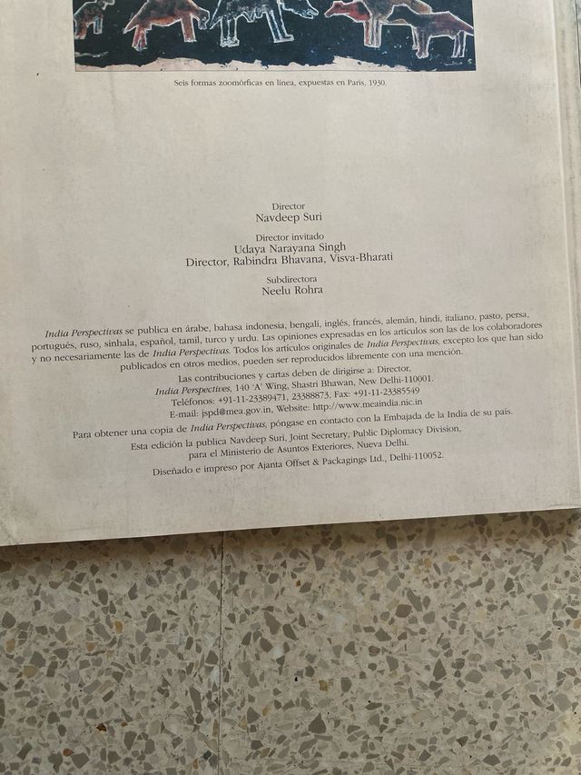 INDIA Perspectivas (Vol.24 NO.2/2010