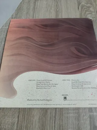 Vinilo Carpenters Made in America