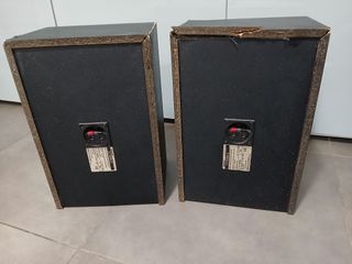 Coppia Casse Bose 2.2 Serie II Vintage