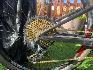 Orbea Oiz 2019 Bicicleta Montaña