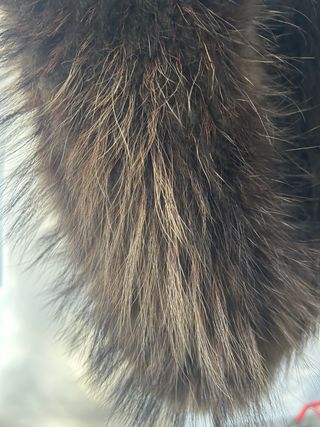 Collo di pelliccia marrone