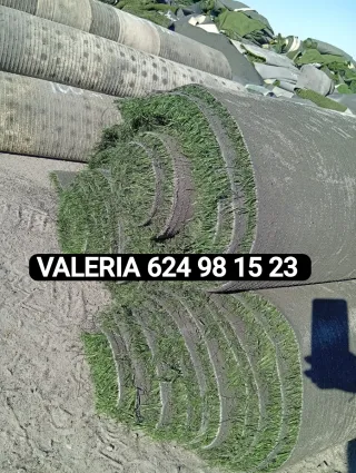 Venta césped artificial