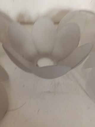 Lote 5 tulipas modernistas forma flor 6 pétalos