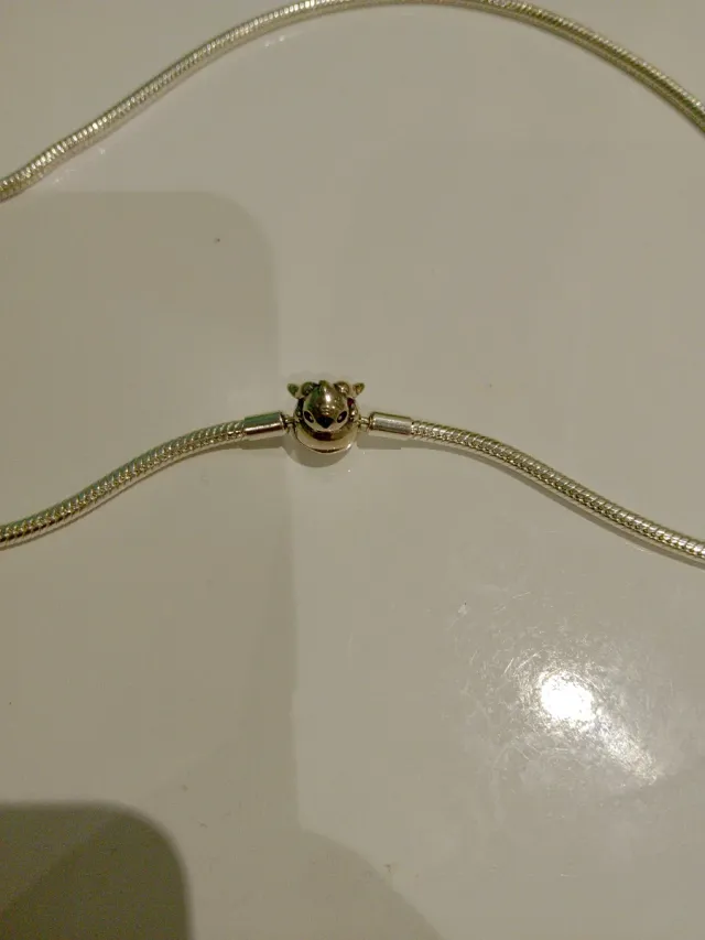 Gargantilla plateada con charm