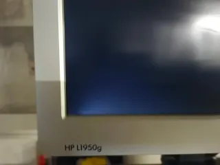 Monitor HP L1950g Negro