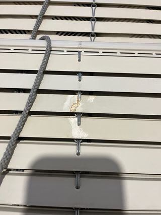 Estor enrollable blanco