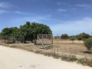 Terreno en venta en Pelagatos - Pago del Humo en Chiclana de la Frontera