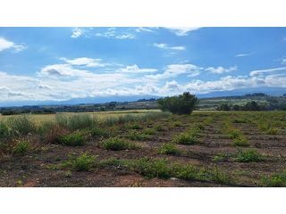 Terreno en venta en Olleria (l´)