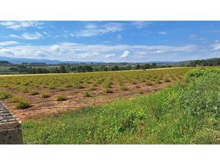 Terreno en venta en Olleria (l´)