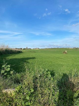 Terreno en venta en Santa Margalida en Santa Margalida