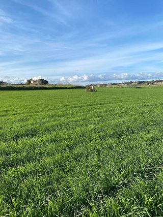 Terreno en venta en Santa Margalida en Santa Margalida