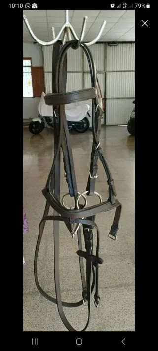 Montura inglesa y Cabezada para pony