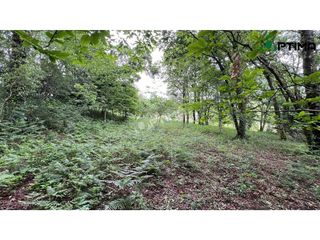 Terreno en venta en Teo