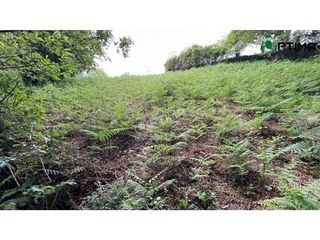 Terreno en venta en Teo