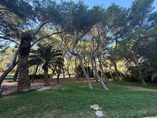 Piso en alquiler en El Saler en Valencia