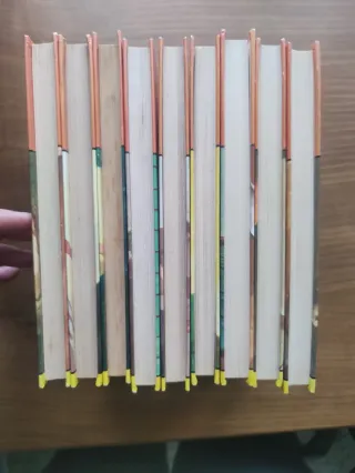 Lot 9 llibres Els Hollister (en català), c/u 1€