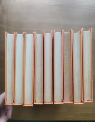 Lot 9 llibres Els Hollister (en català), c/u 1€