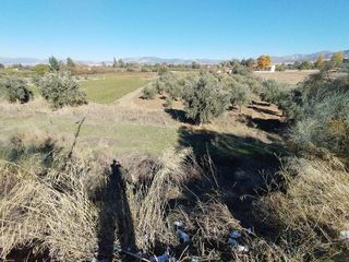 Solar en venta en Otura