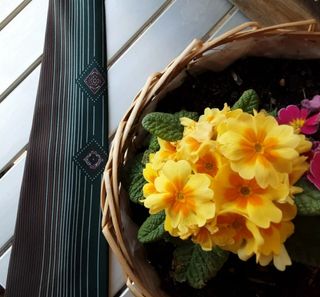 Cravatta Longchamp Paris a righe, fantasia rombi