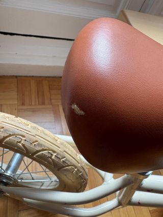 Bicicleta Banwood Flamingo Ed. Exclusiva